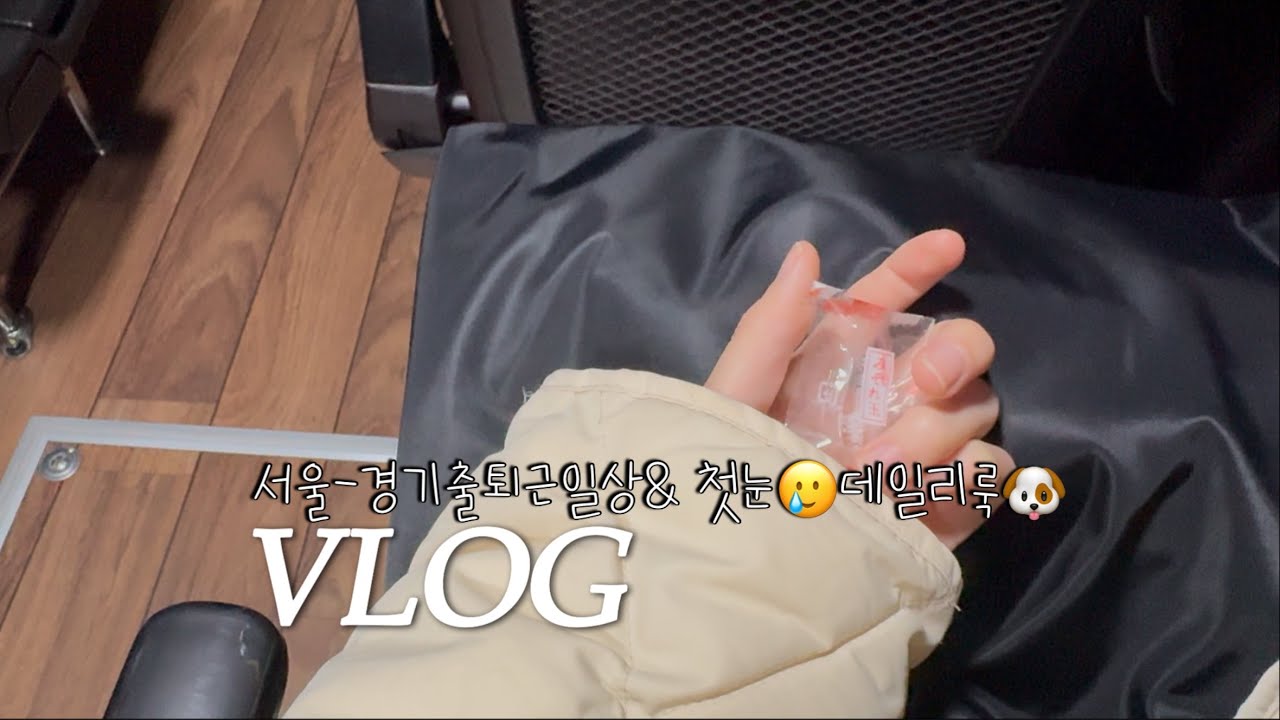 직장인브이로그| 왕복3시간30분 출퇴근러의 일상과 데일리룩| 악 첫눈이 와버렸다🌨️| 그런데 이제 강아지도 있는🐶| 시츄단츄❤️| 유니클로| 망고매니플리즈| 노운베러| 토마스모어