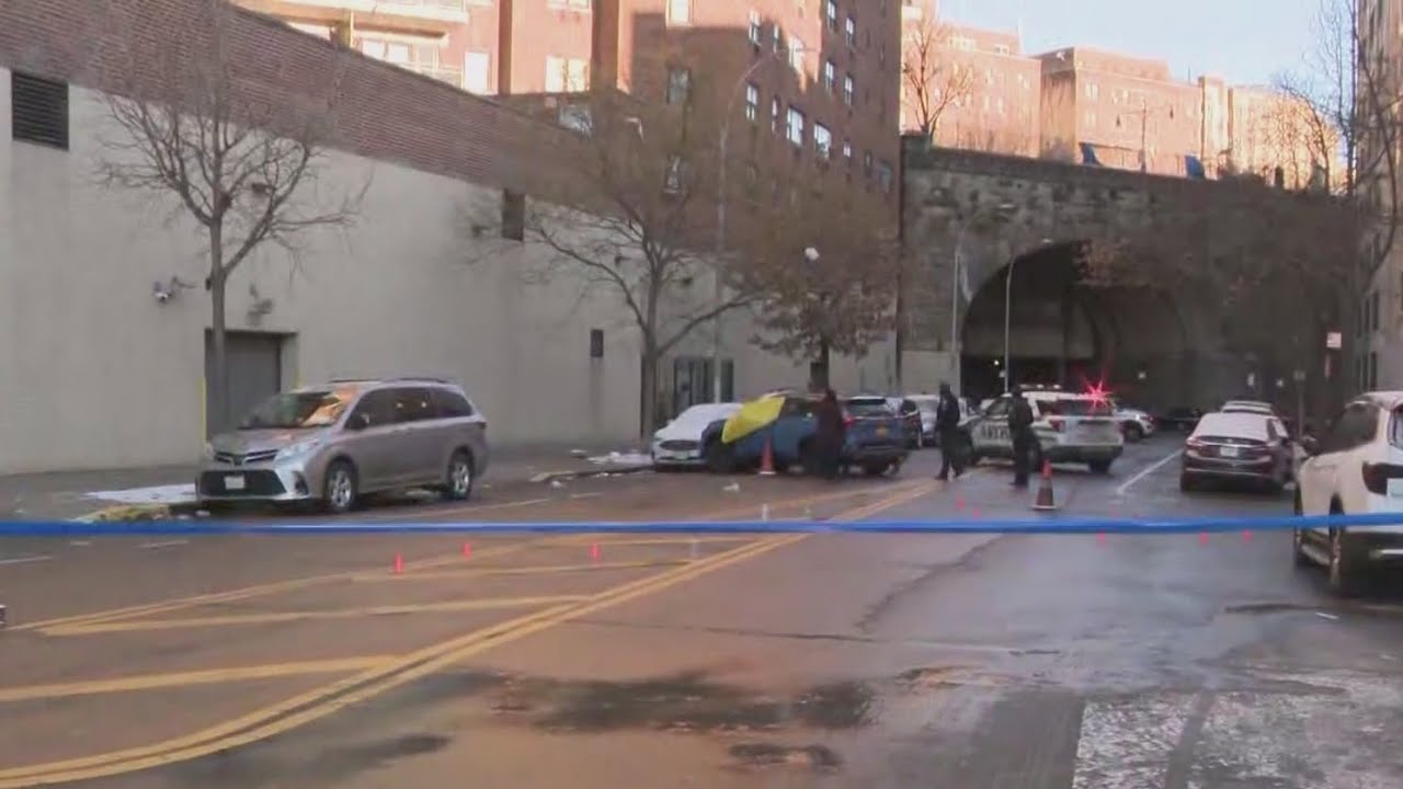 Driver gunned down in Bronx car on New Year’s Day: NYPD
