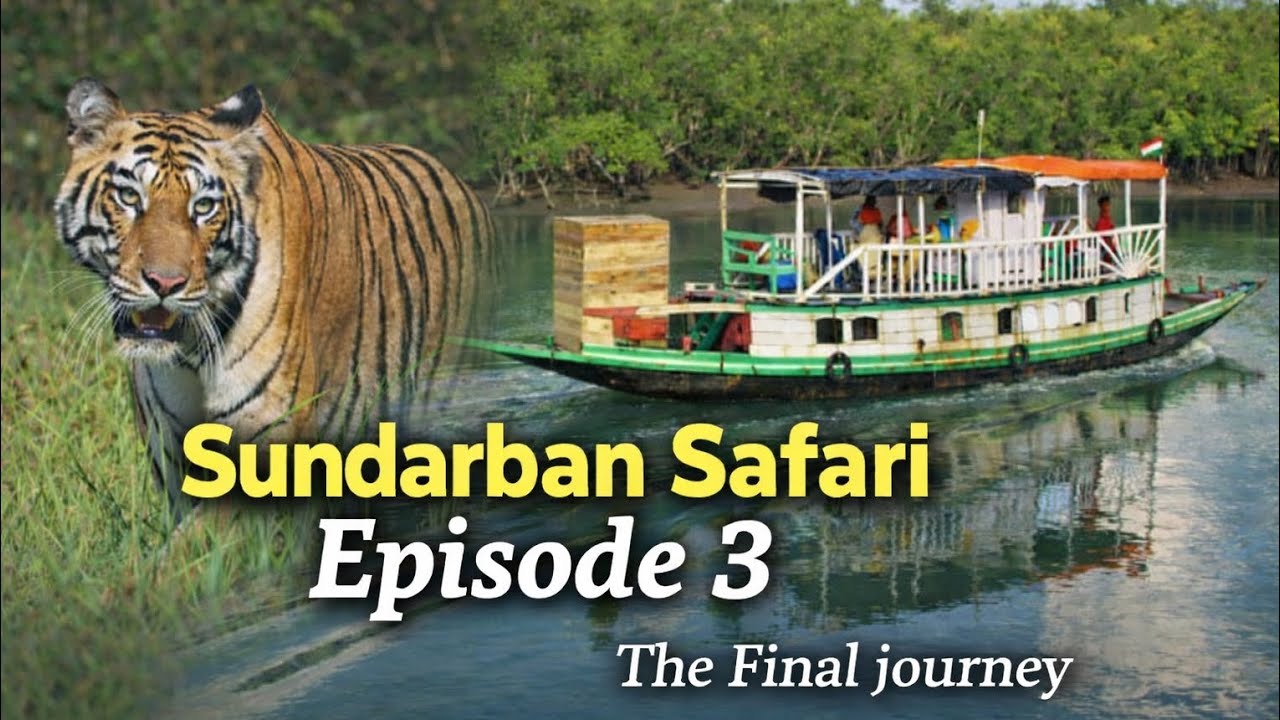 Sundarban Safari Episode 3 // The last day of Trip