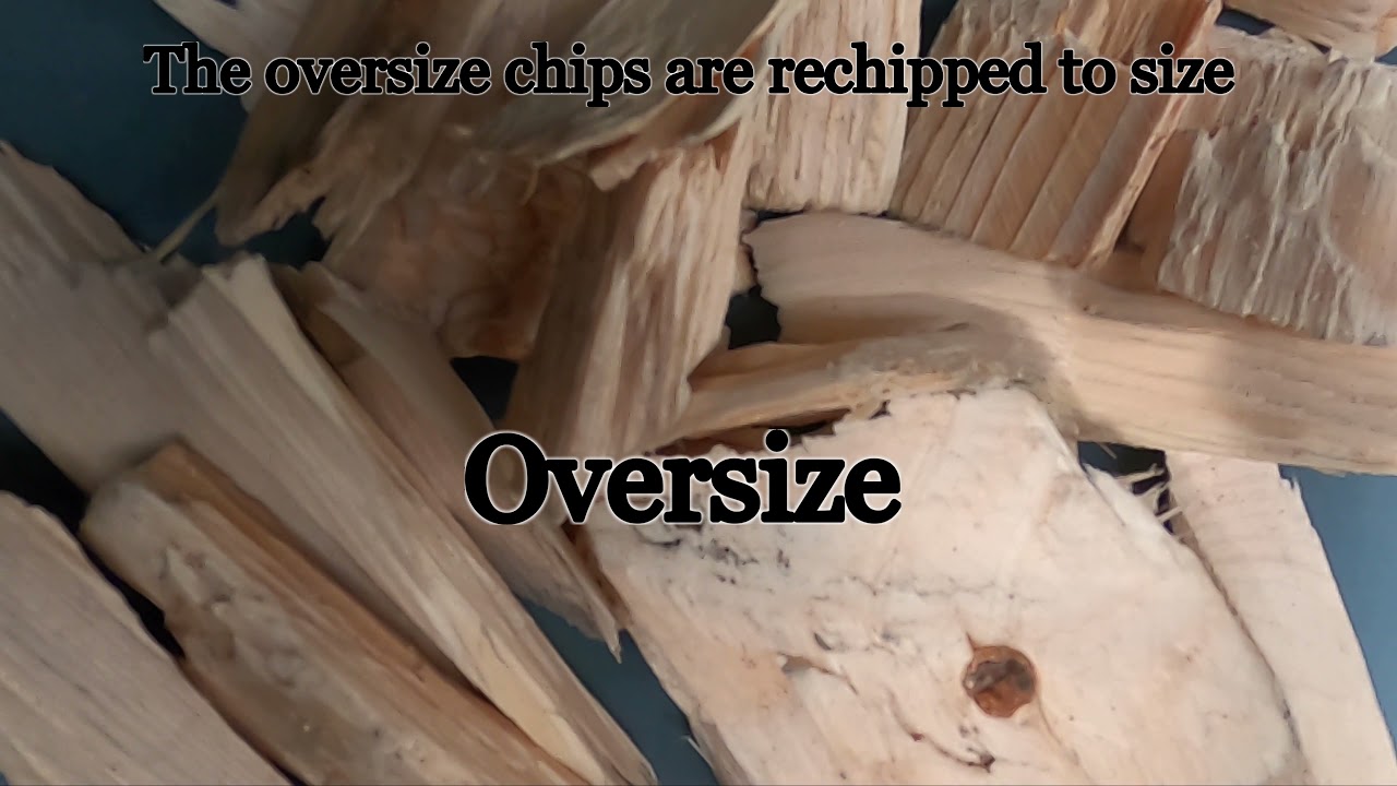 Wood Chip Screening