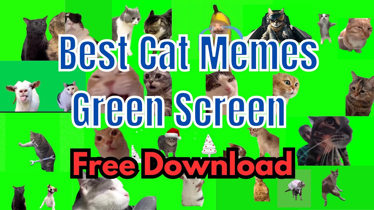 Best Cat Memes Green Screen