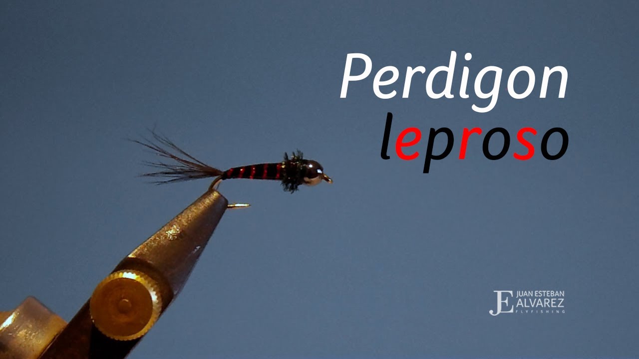 Perdigon leproso // atado de moscas // fly tying // montaje