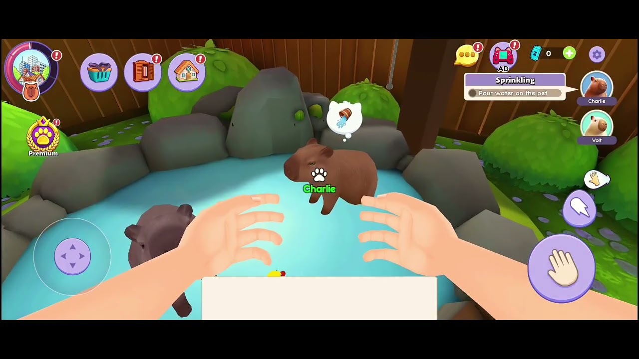 My Pets Capybara Simulator - Gameplay Walkthrough Part 1 (Android & IOS) 