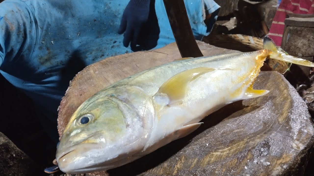 yellow paarai fish cutting video/ fishcuttingrs #fishcuttingrs #kasimedu #fish