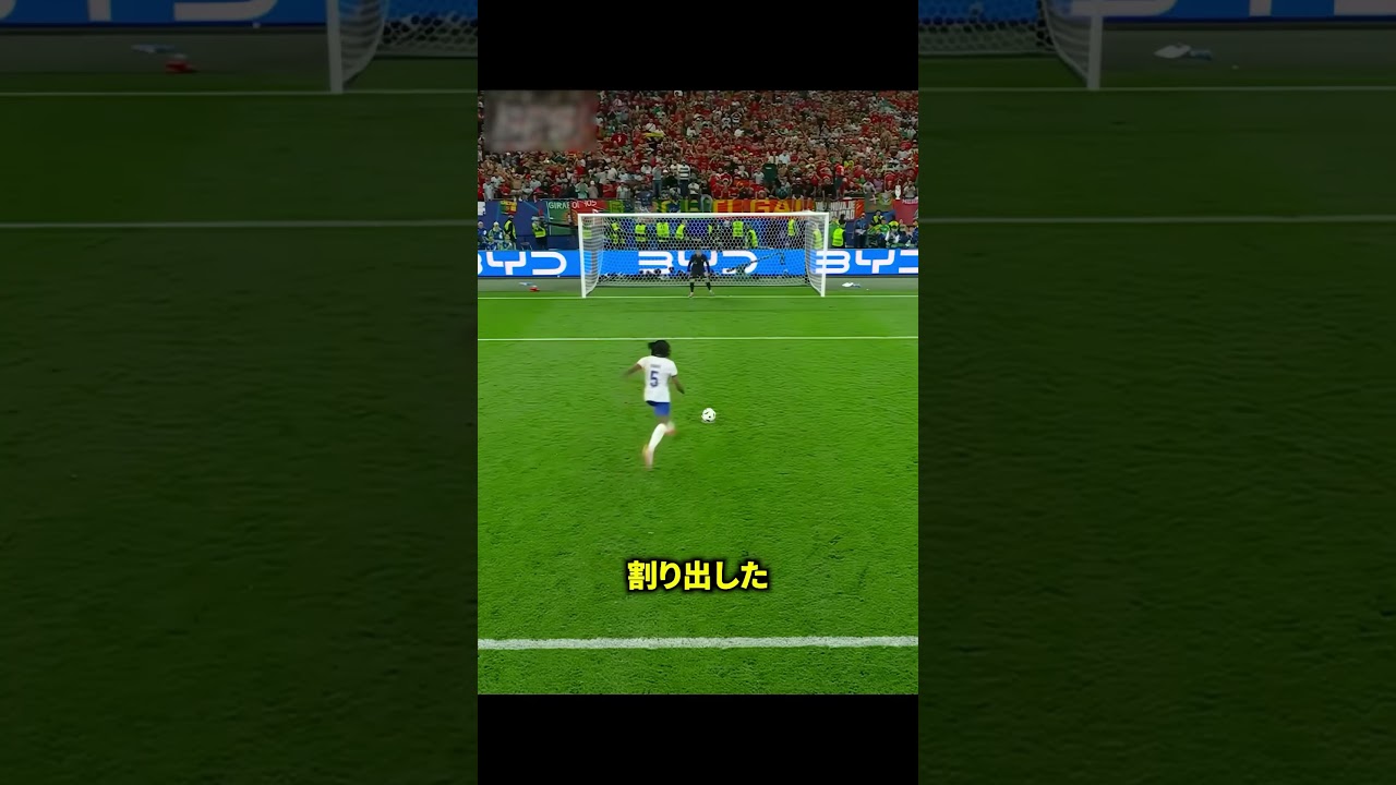 分析データをもとにPK戦に勝利したGKがヤバすぎる!!!!