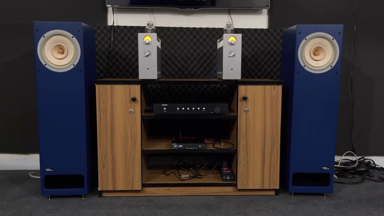 Audio Phonic F8 Full Range Tower by Lii Audio Fast-8 with BRZHIFI A80 tube amplifier