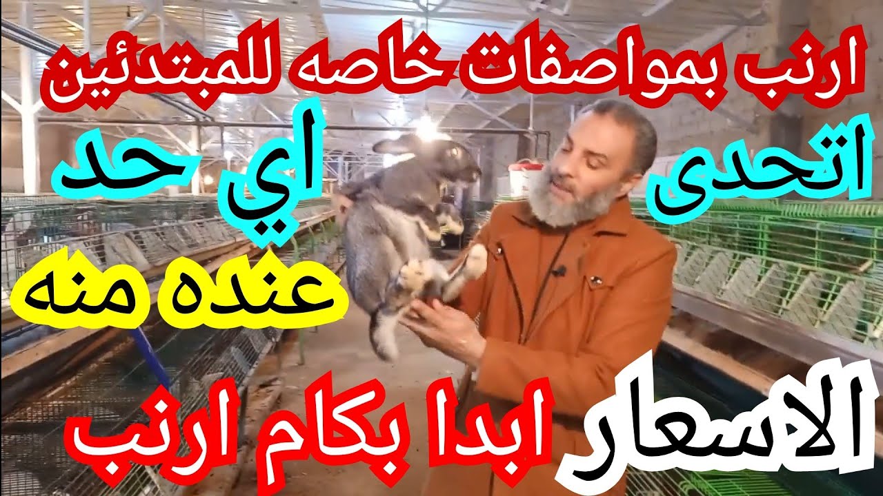شيخ سامر عايز ارنب ضد الحر البرد الجرب جميع الامراض وابدا بكام ارنب