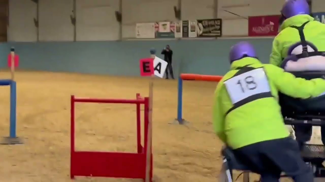 Single pony, indoor driving, cones and obstacles, Easton College, Norwich