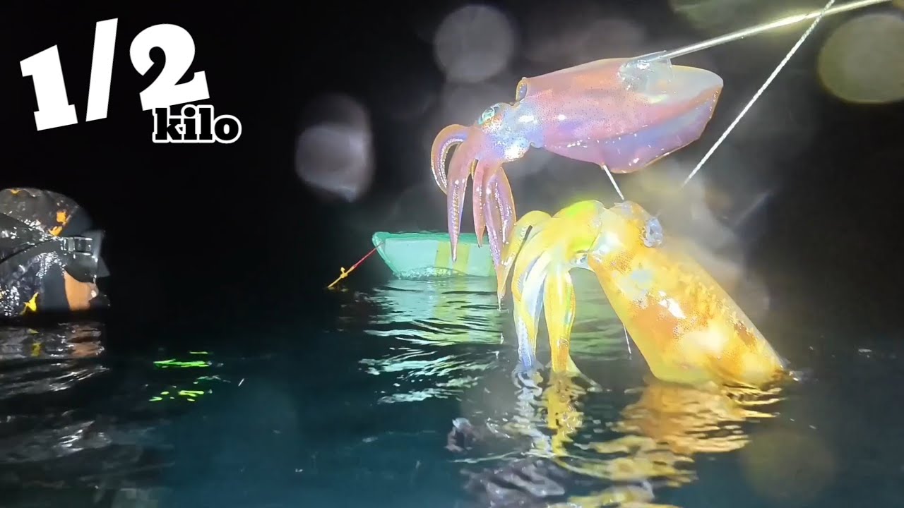 NAG TABI-TABI NA SILA | Basta panahon nila ganito kadali makarami ng huli