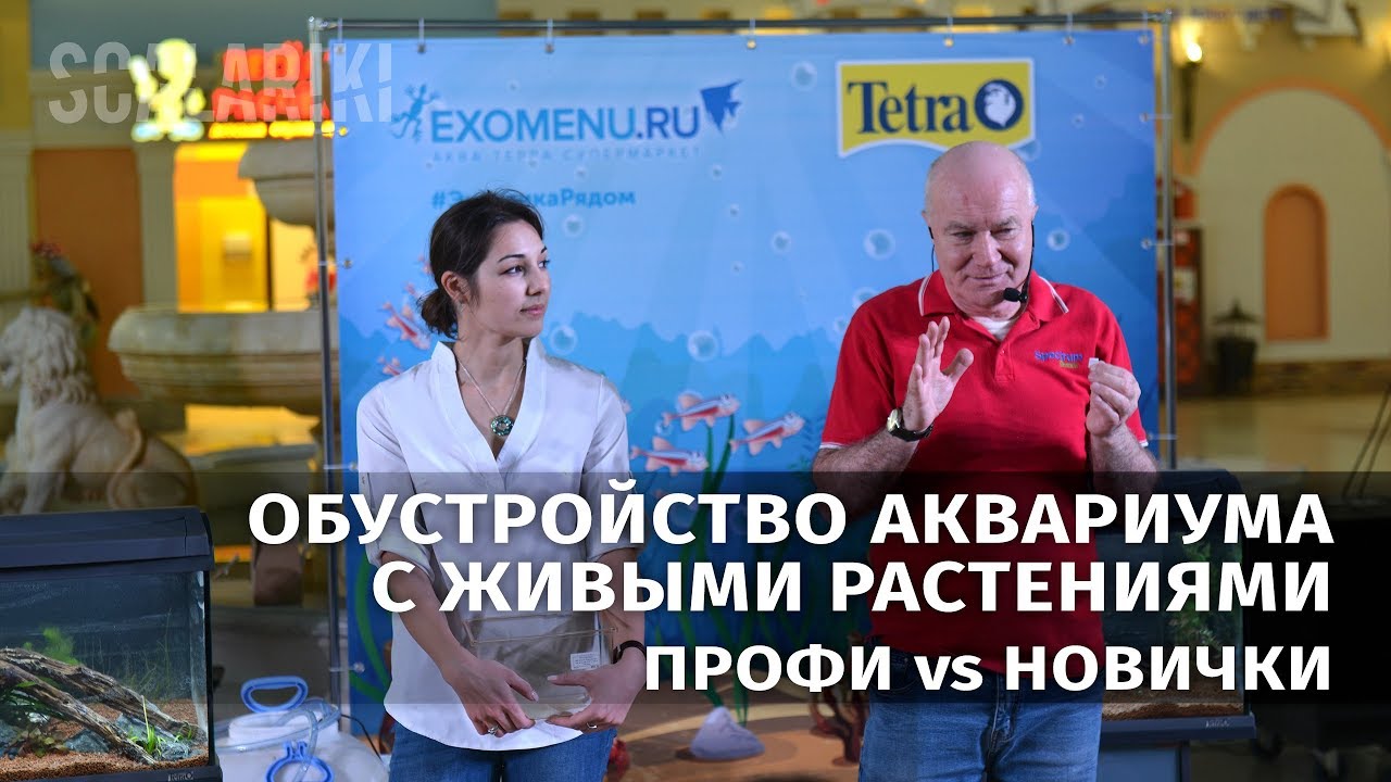 Мастер-класс по запуску аквариума Tetra с живыми растениями в Экзоменю