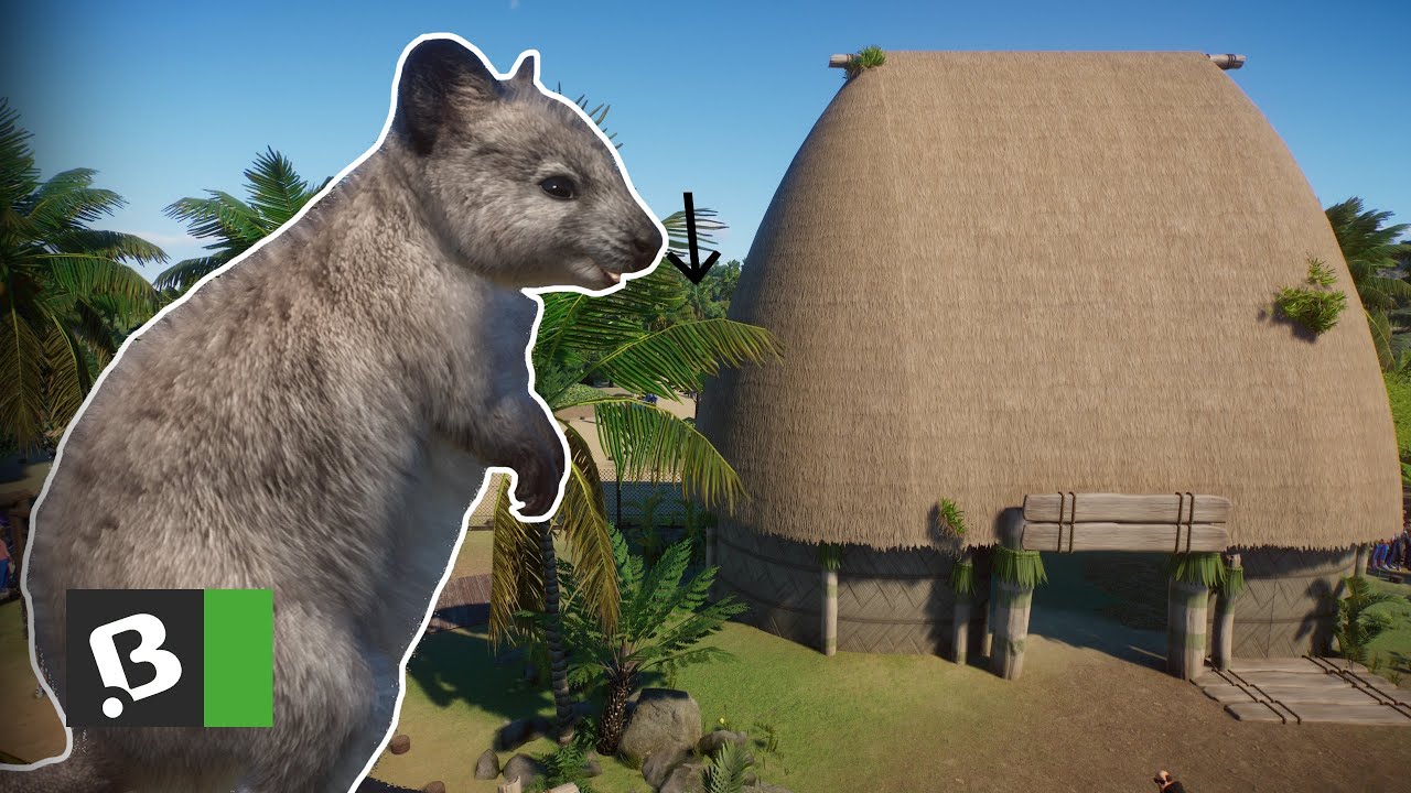 Průchozí klokan | Planet ZOO #4