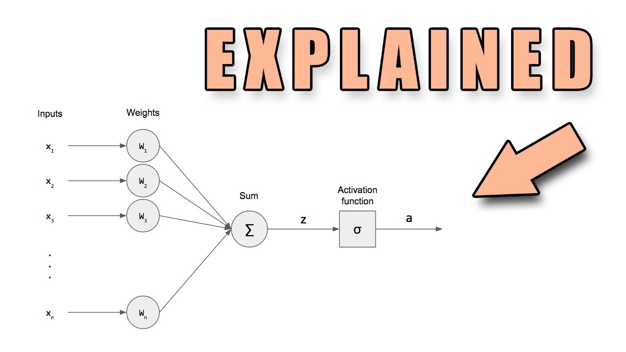But How Does The Perceptron Actually Work?