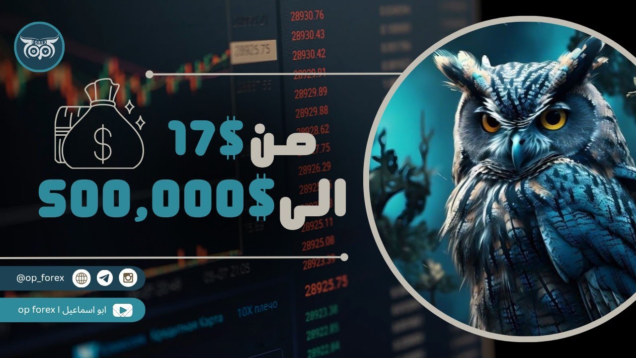 قصتي مع الفوركس  من عدم امتلاكي ثمن الدخان  الى استحمامي بالعسل الطبيعي