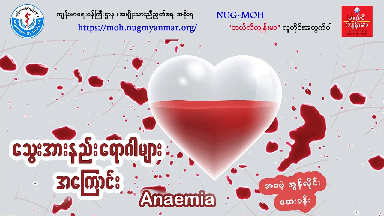 သွေးအားနည်းရောဂါများအကြောင်း