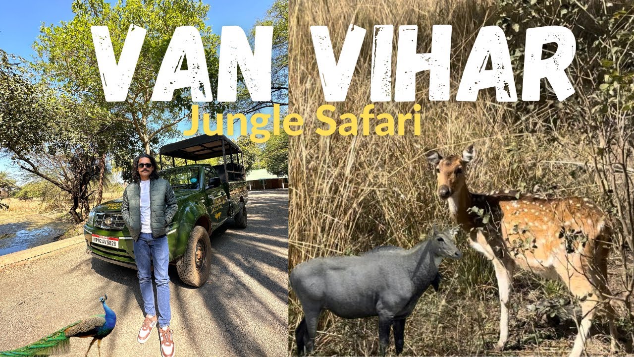 Jungle Safari | Van Vihar National Park | Bhopal | Wildlife Black Buck 🦌 | Vlog