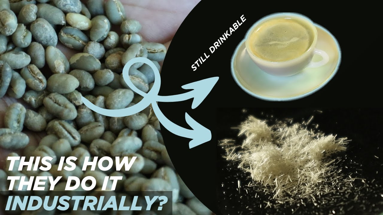 Making coffee AFTER extracting the caffeine | This is how decaf roasts are made