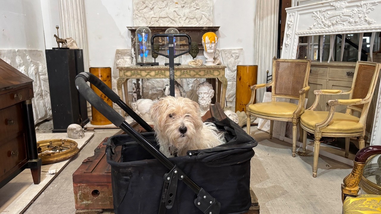 Join us on our days off in the Cotswolds and a little bit of antique shopping