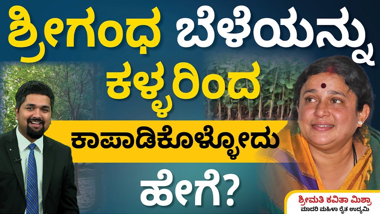 Sandalwood Farming in Kannada - How to Protect Sandalwood Tree from Thieves? | CS Sudheer