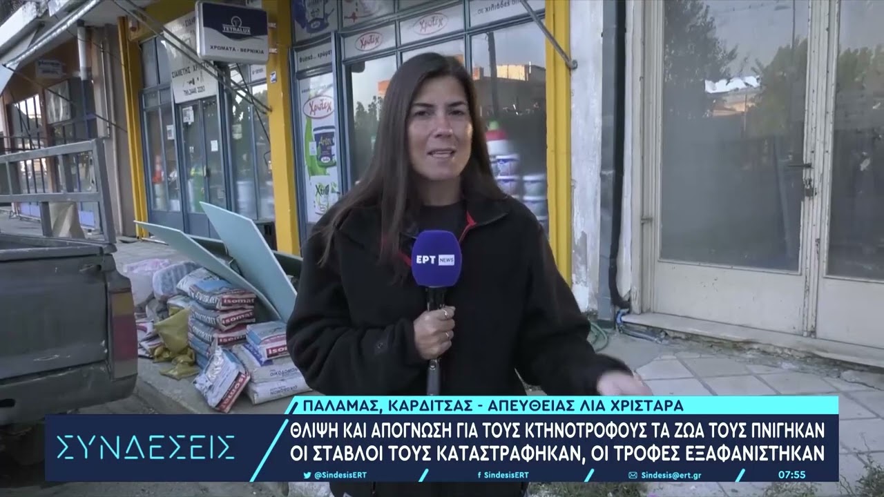 Απόγνωση και καταστροφή στη Θεσσαλία - Πλημμυρισμένα και αποκλεισμένα χωριά | 13/9/23 | ΕΡΤ