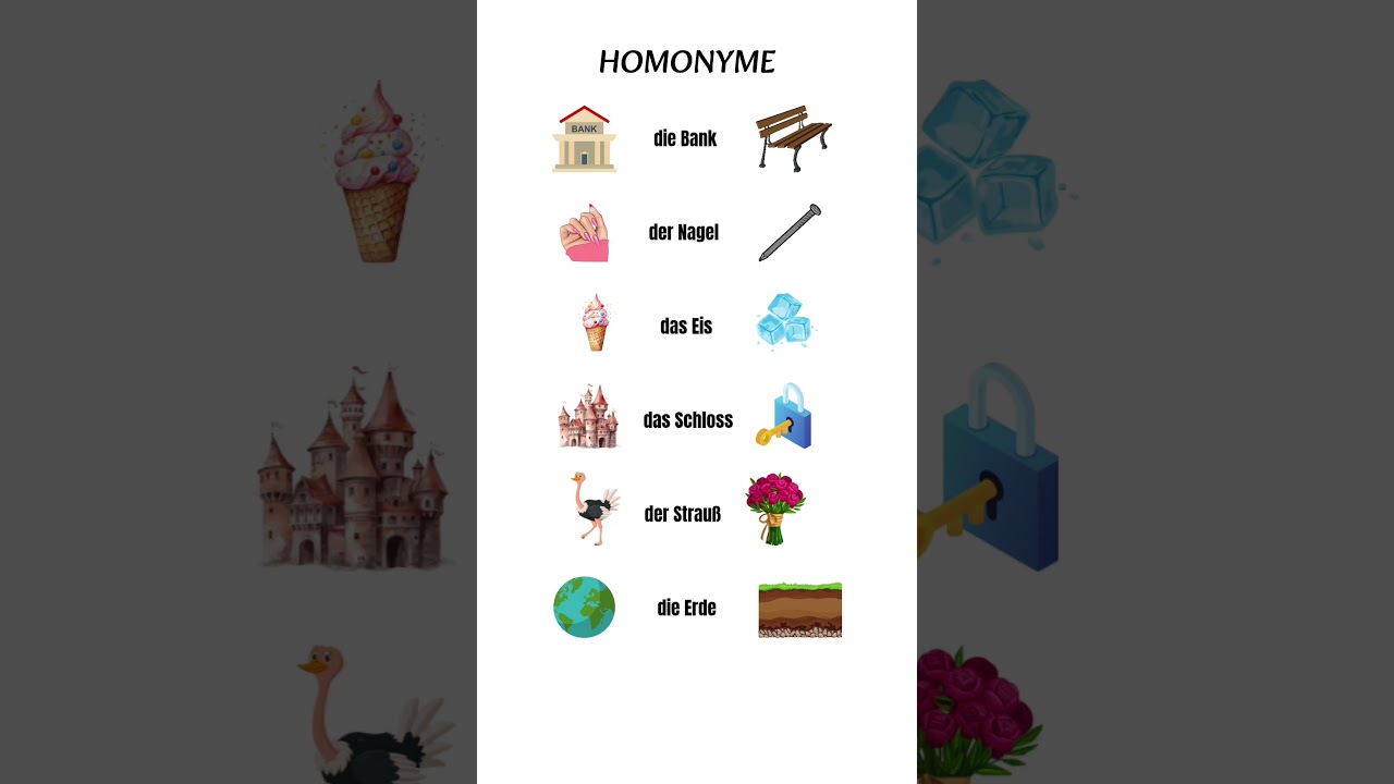 Homonyme W&ouml;rter auf Deutsch (part 2)  #homonym #wortschatz #deutschlernen #shorts