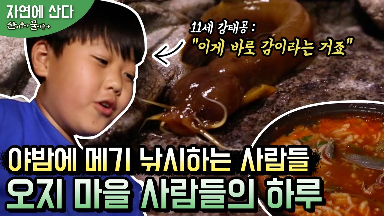(농촌에 산다) 단 세 집만이 사는 오지 중에 오지, 비수구미 마을 / 야간 낚시 / 메기 매운탕