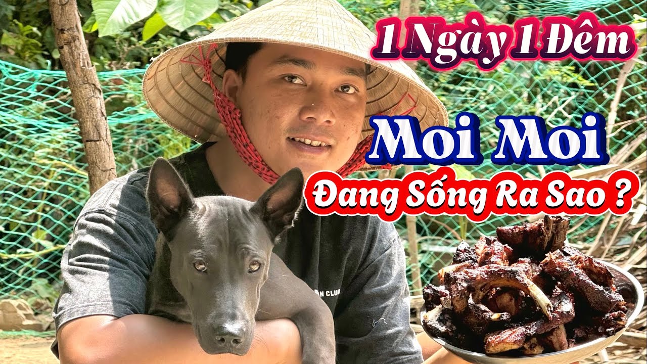 Dù Đã Lớn Moi Moi Vẫn Vô Cùng Nhút Nhát - 1 Ngày 1 Đêm Về Nhà Chị Sen Sống Cùng Moi Moi