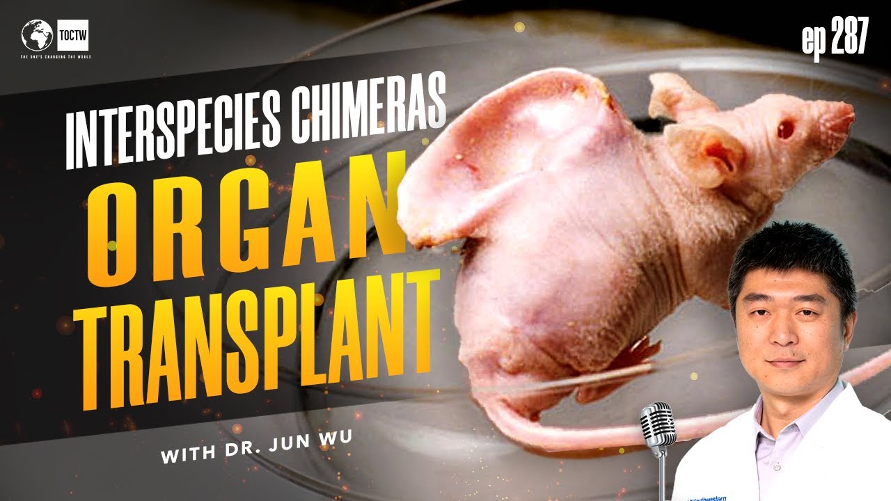 Solving the Organ Shortage Crisis with Interspecies Chimeras - Dr Jun Wu