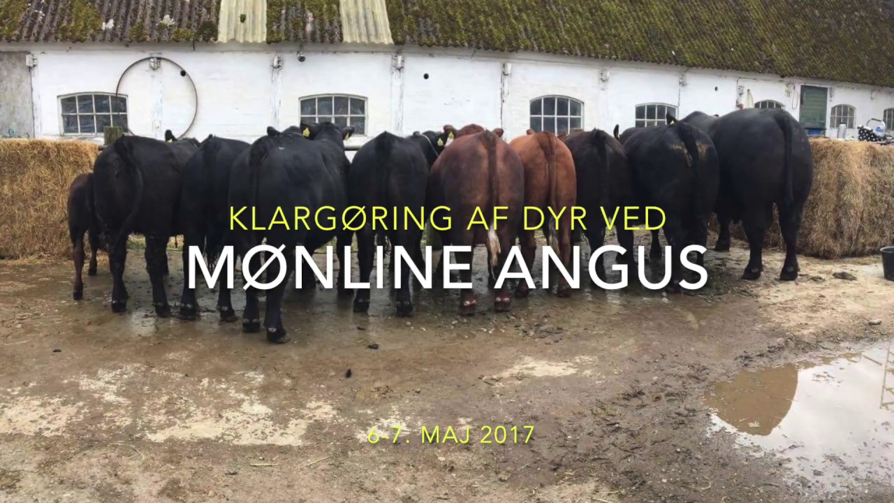Ses vi på Roskilde Dyrskue 2017?