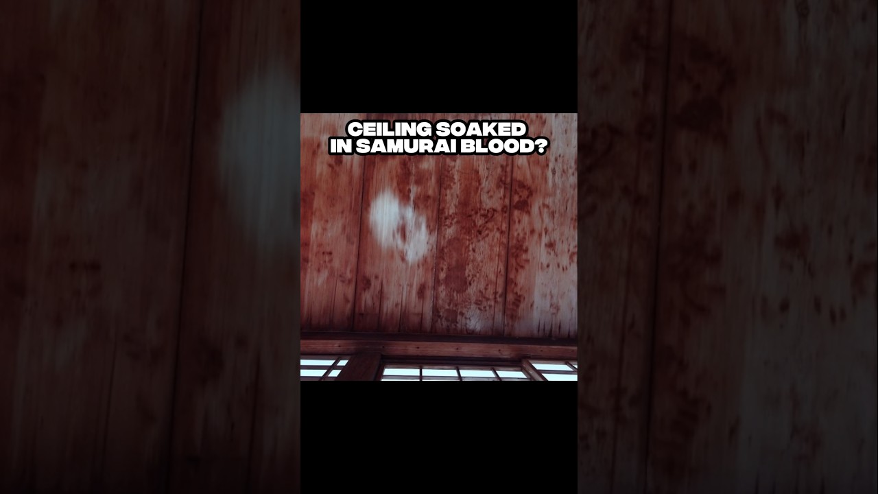 Bloody Ceiling: Samurai Bloodstains from Fushimi Castle&rsquo;s 1600 Siege in Japan #history
