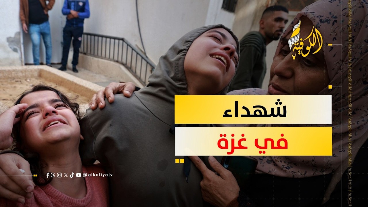 شهداء في غزة.. الكوفية ترصد التفاصيل
