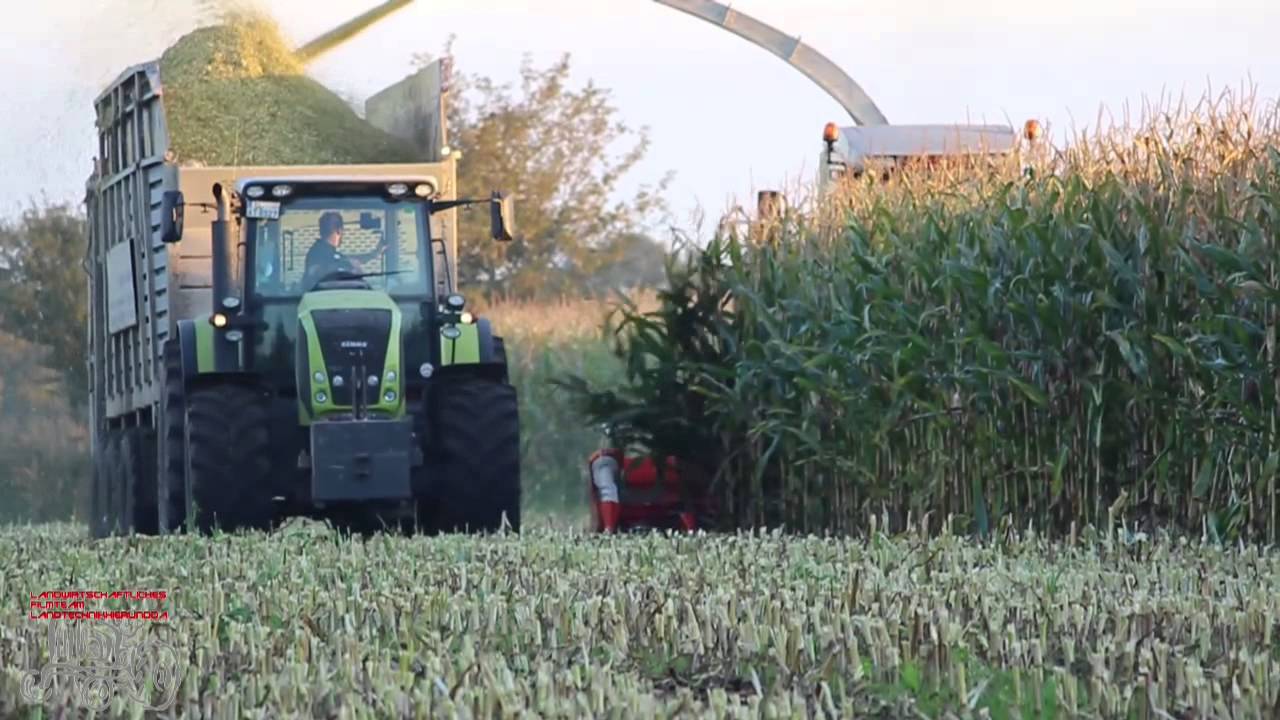 Maishäckseln mit Claas und Veenhuis