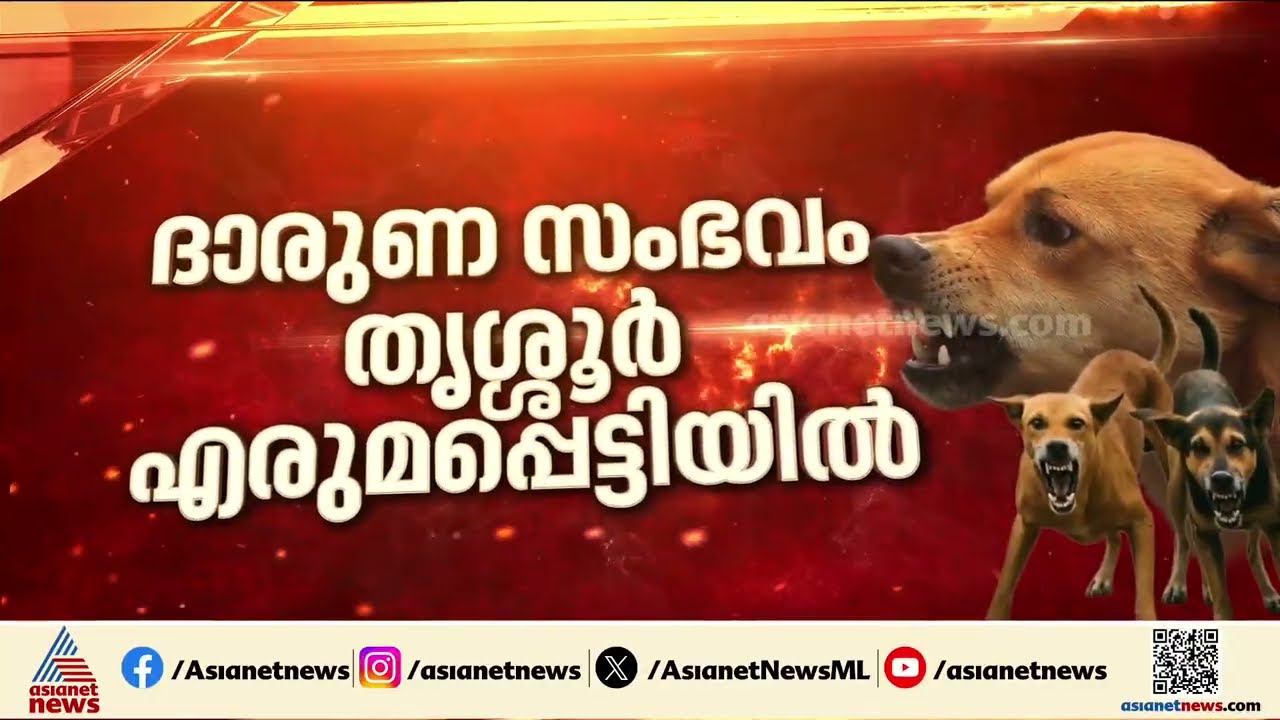 കിടപ്പുരോഗിയായ വയോധികയുടെ മരണം; നായയെ പിടികൂടാൻ ശ്രമം തുടർന്ന് നാട്ടുകാർ