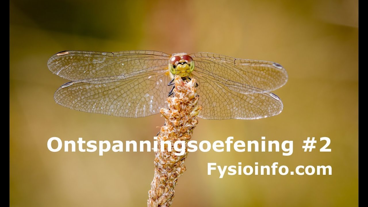 Ontspanningsoefeningen, maak je hoofd leeg en ontspan je lijf
