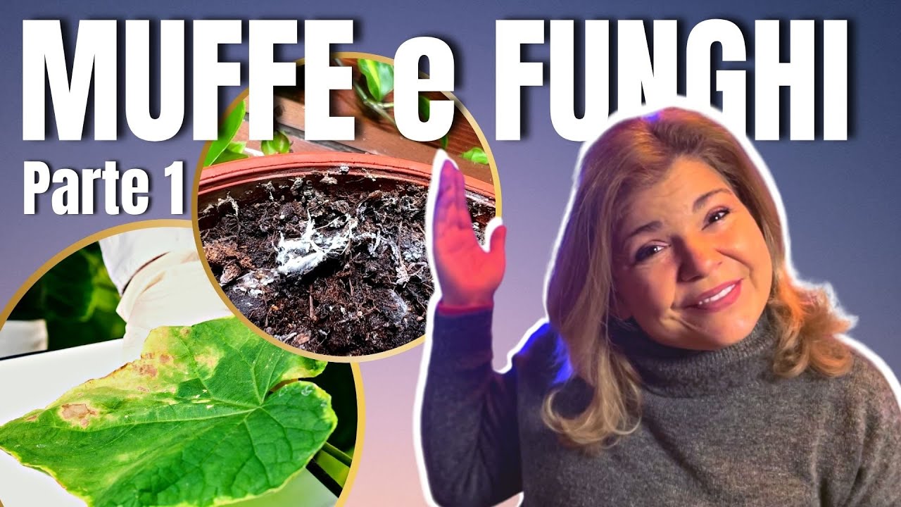 PROBLEMI di FUNGHI sulle tue PIANTE (parte1)