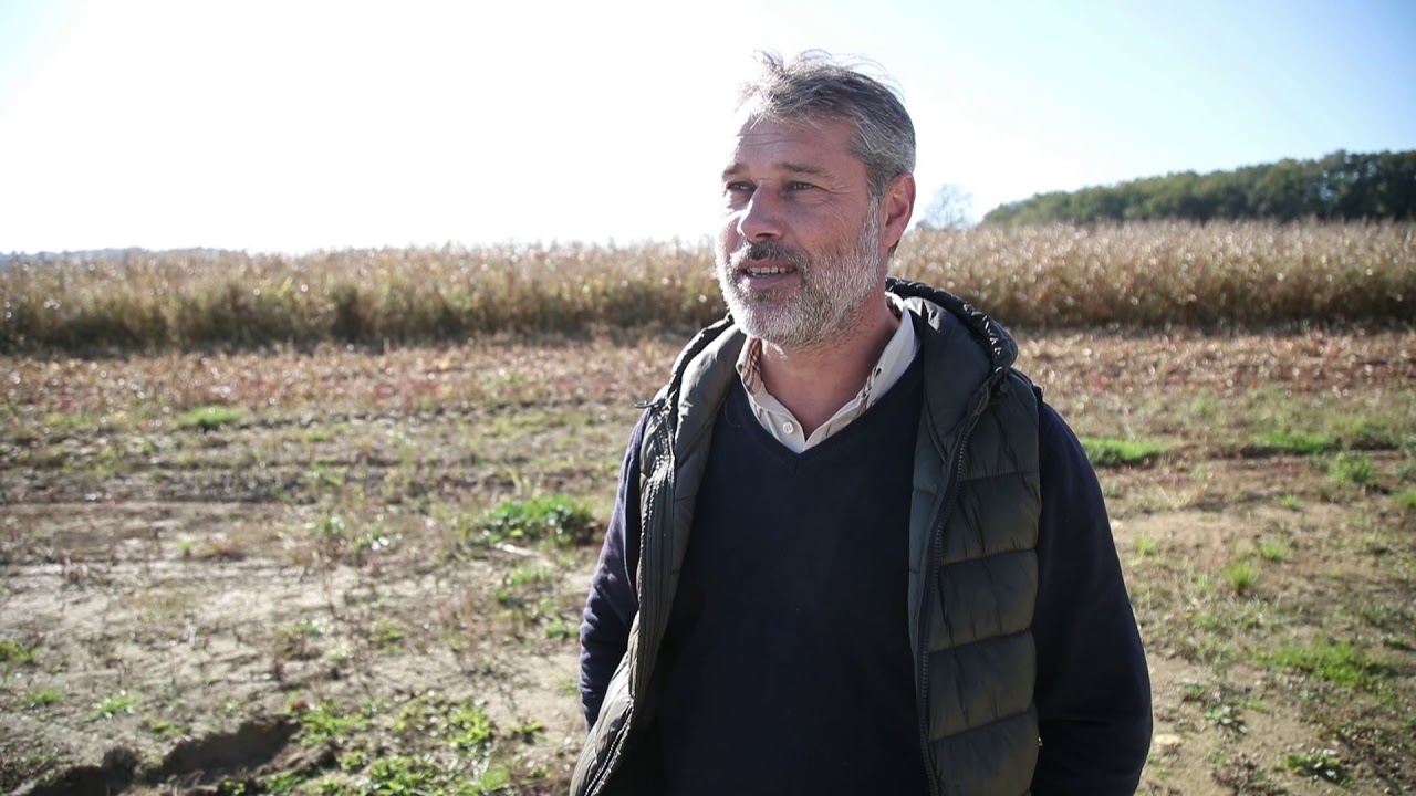 Lot-et-Garonne : Dans les coulisses de la meunerie d'Alliance Bio, fabricant de farine bio