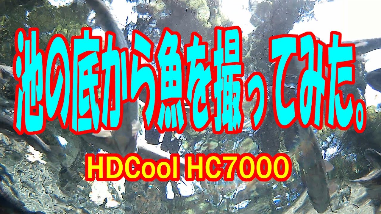 池の底から魚を撮ってみた。　HDCool HC7000