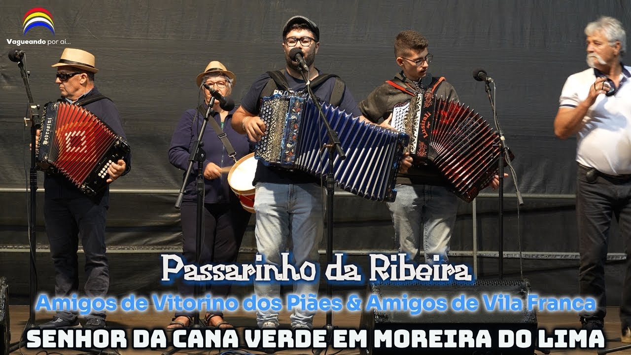 Passarinho da Ribeira - Amigos de Vitorino dos Piães & Amigos de Vila Franca