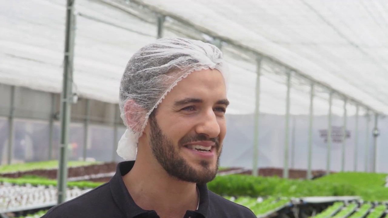 BeGreen monta 1ª fazenda vertical dentro da fábrica da Mercedes-Benz no ABC | StartSe