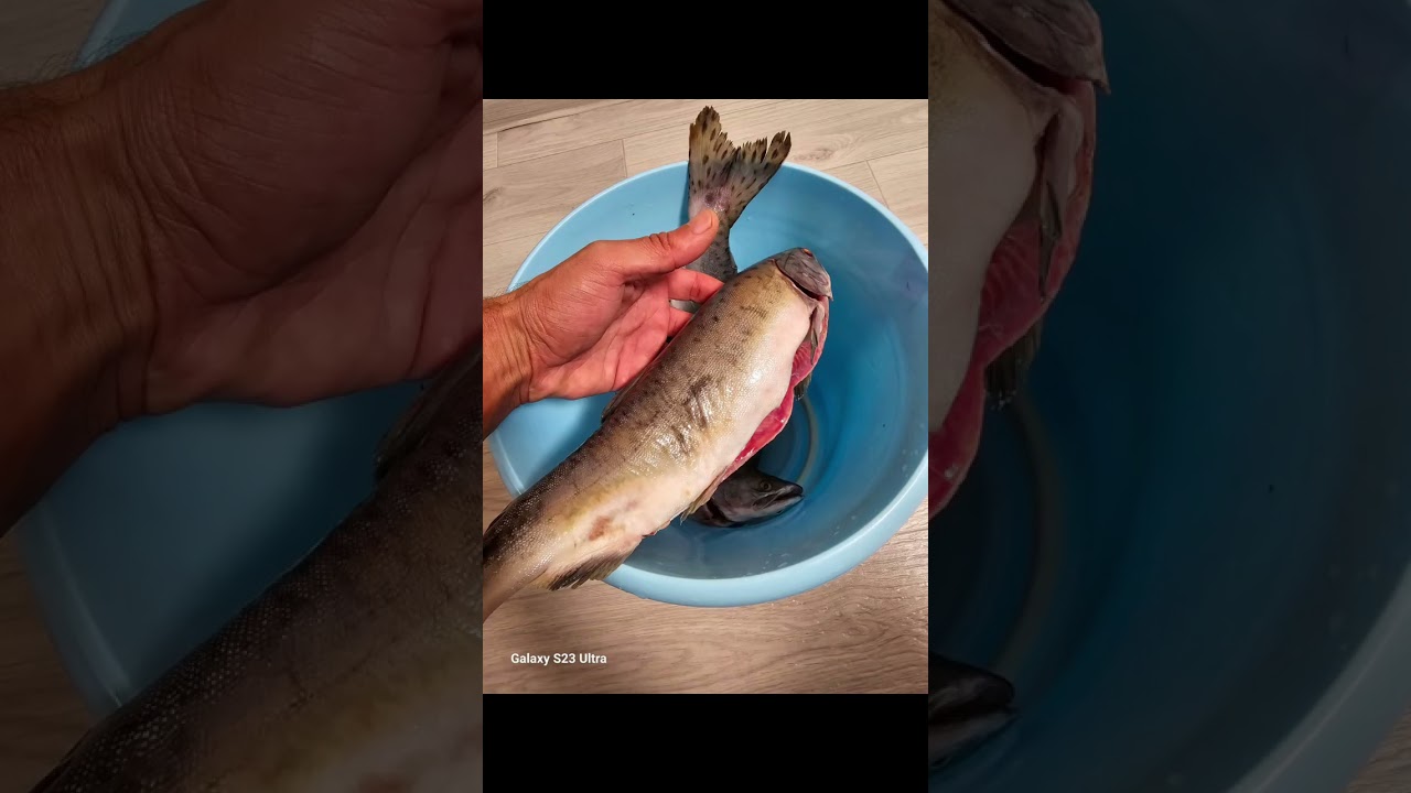 Хасанский  район 