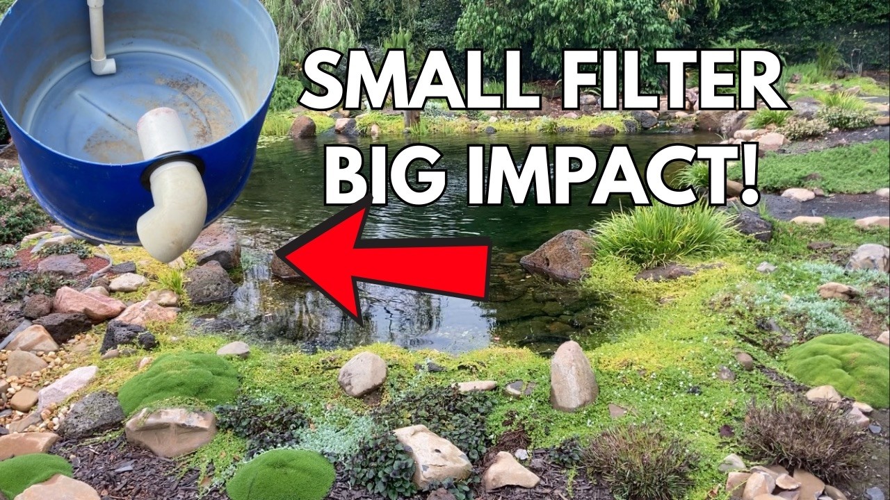 No room for a bog filter? Try this!