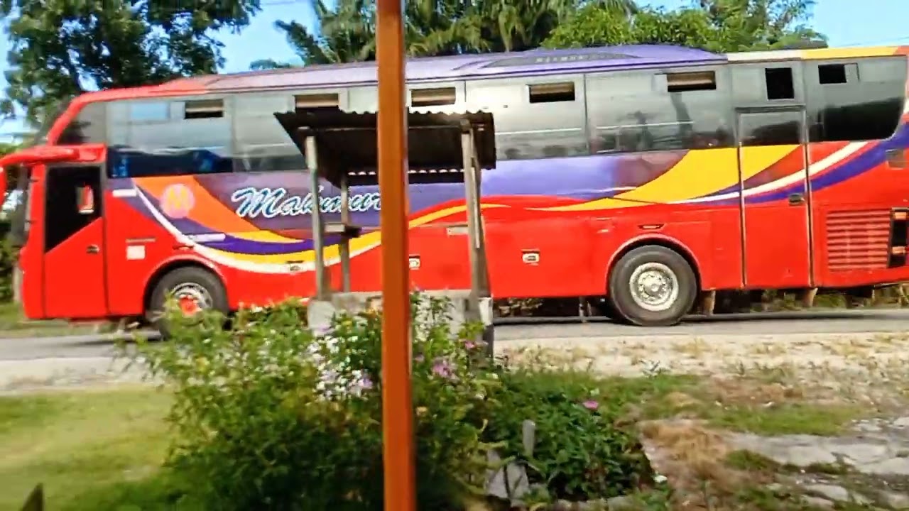 bus makmur #busmalam #bussumatera #busmakmur  #busekonomi #bismania