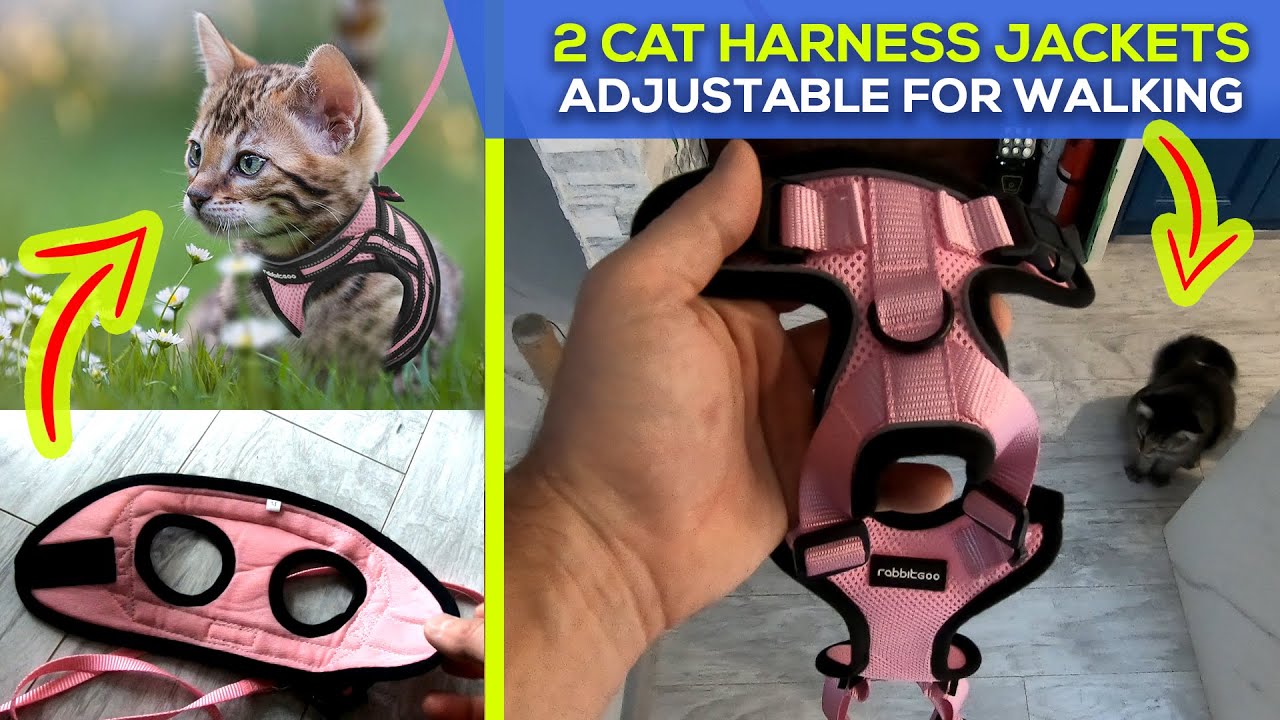 Rabbitgoo Cat Harness And Rabiitgoo Kitten Harness with Leash for Walking