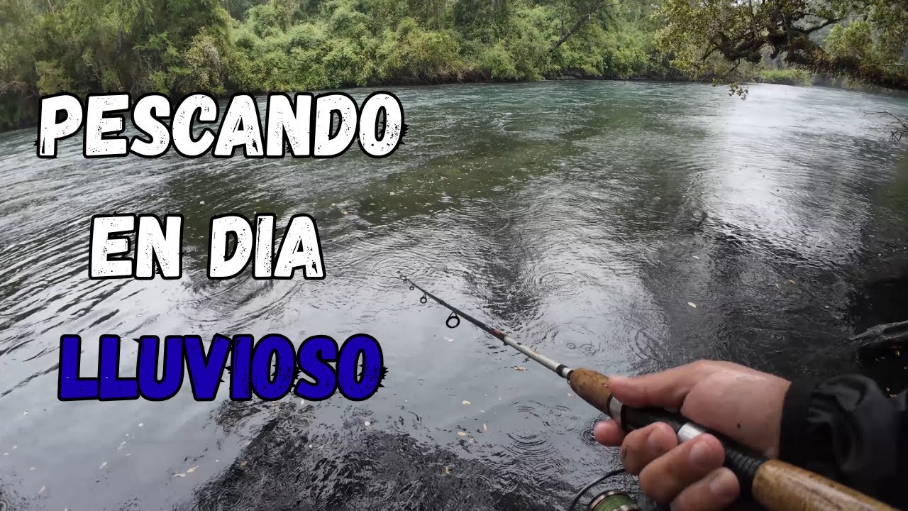PESCANDO TRUCHAS EN DIA LLUVIOSO | SUR DE CHILE