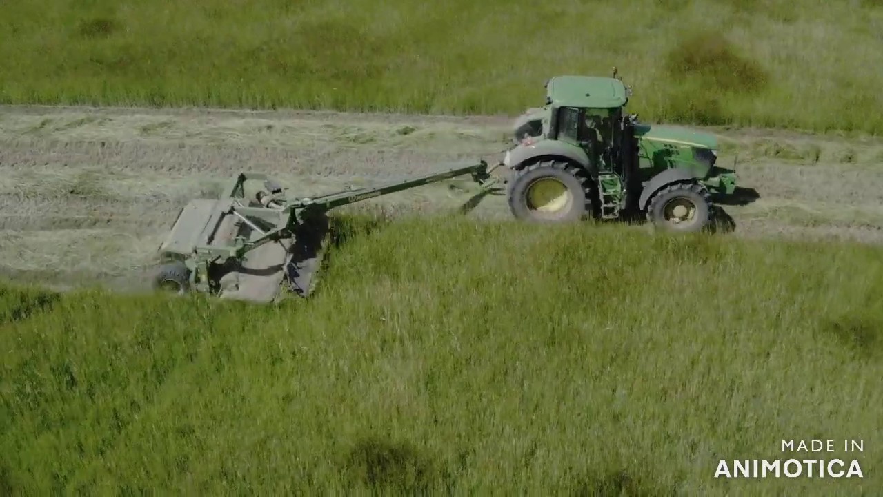 Крестьянское хозяйство 