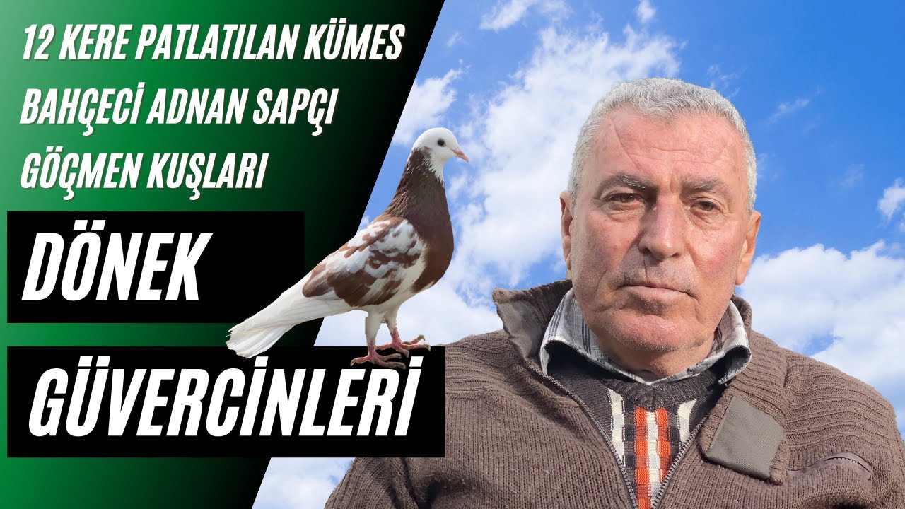 Dönek Güvercin Sohbeti Bahçeci Adnan