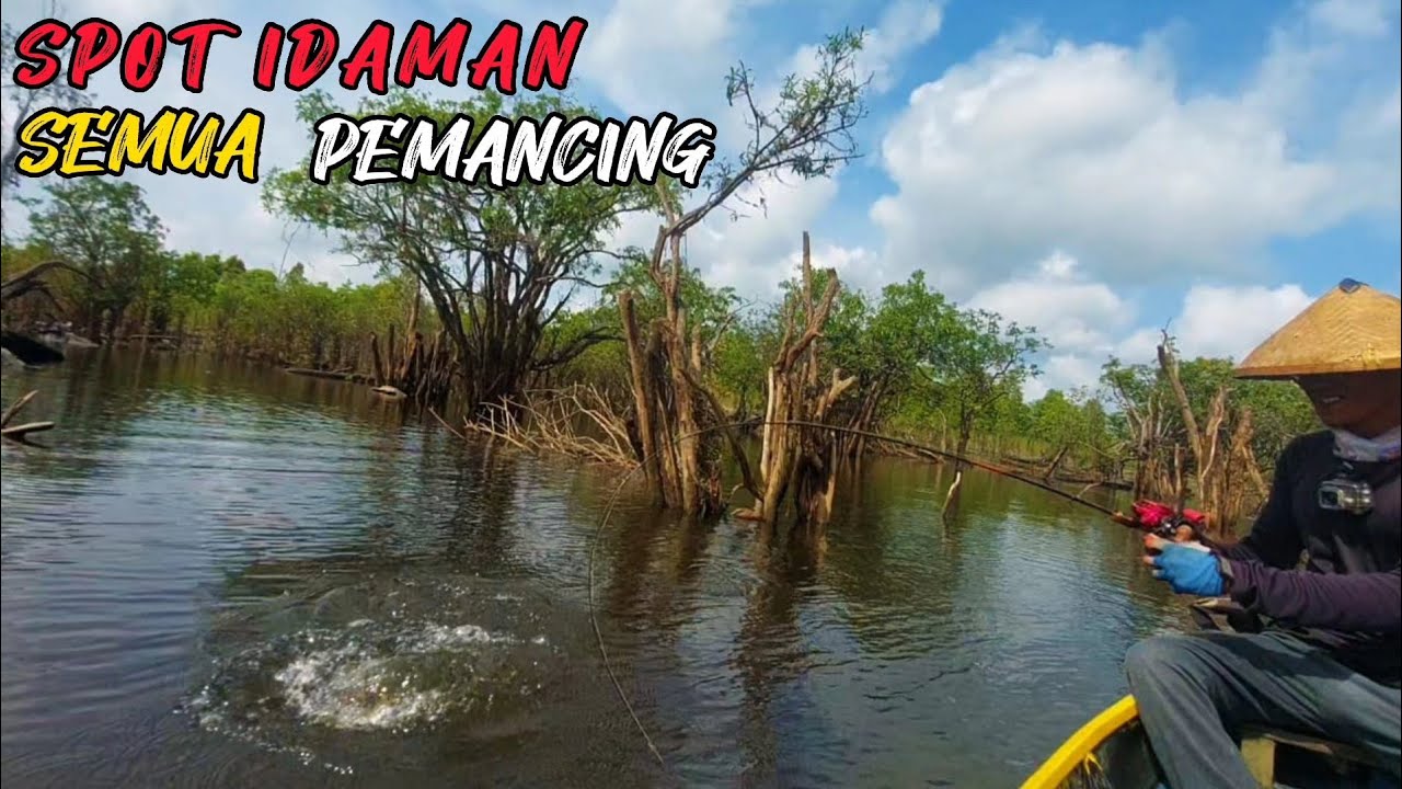 PREDATOR INI SANGAT AGRESIF KETIKA DANAU MULAI SURUT || CASTING TOMAN DAN KERANDANG KALIMANTAN