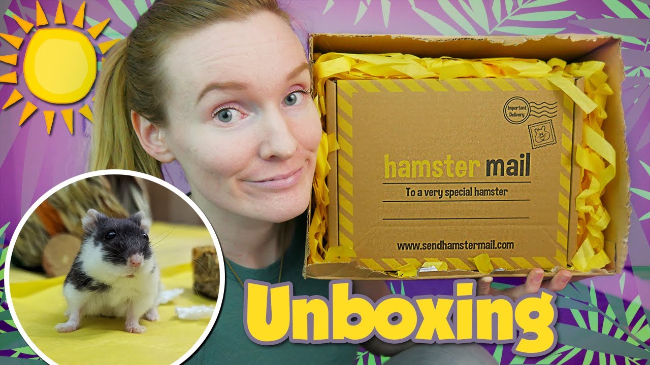 Hamster Mail Summer 2023 Unboxing | Munchie's Place