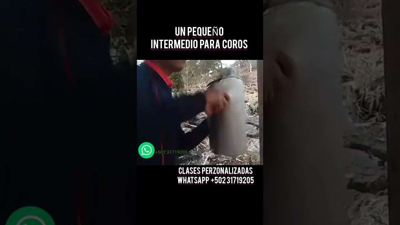 Tocando G&uuml;ira en cadena de Coros  que Umildad De INTERMEDIOS O.M.G&Uuml;IRA #guira #tocar Shots