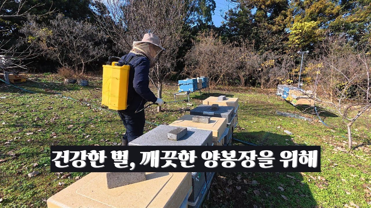 건강한 벌, 깨끗한 양봉장을 위해