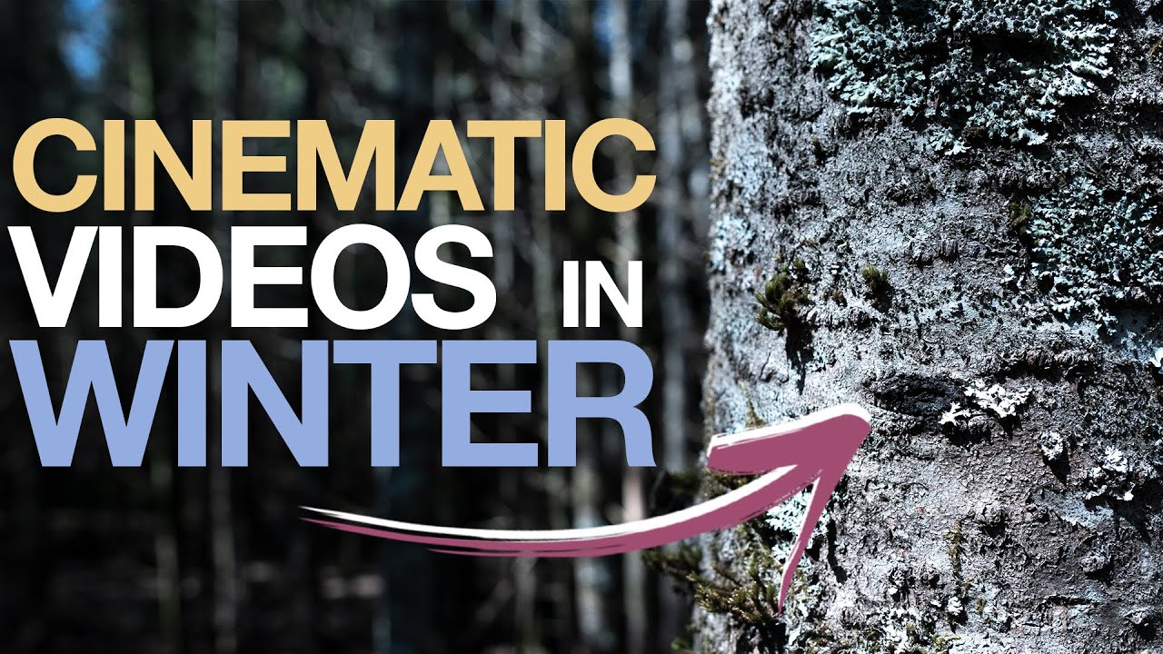 3 TIPS for CINEMATIC WINTER Videos! No more OVEREXPOSED Footage!